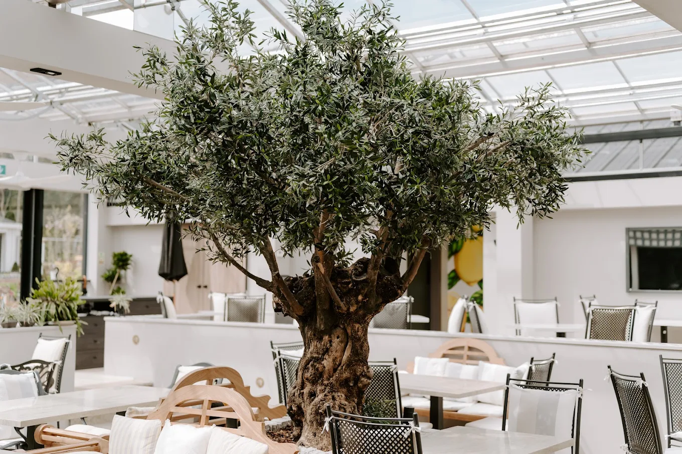 The Glasshouse in Camberley