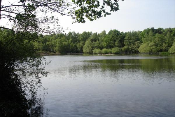 Lightwater Country Park in Camberley