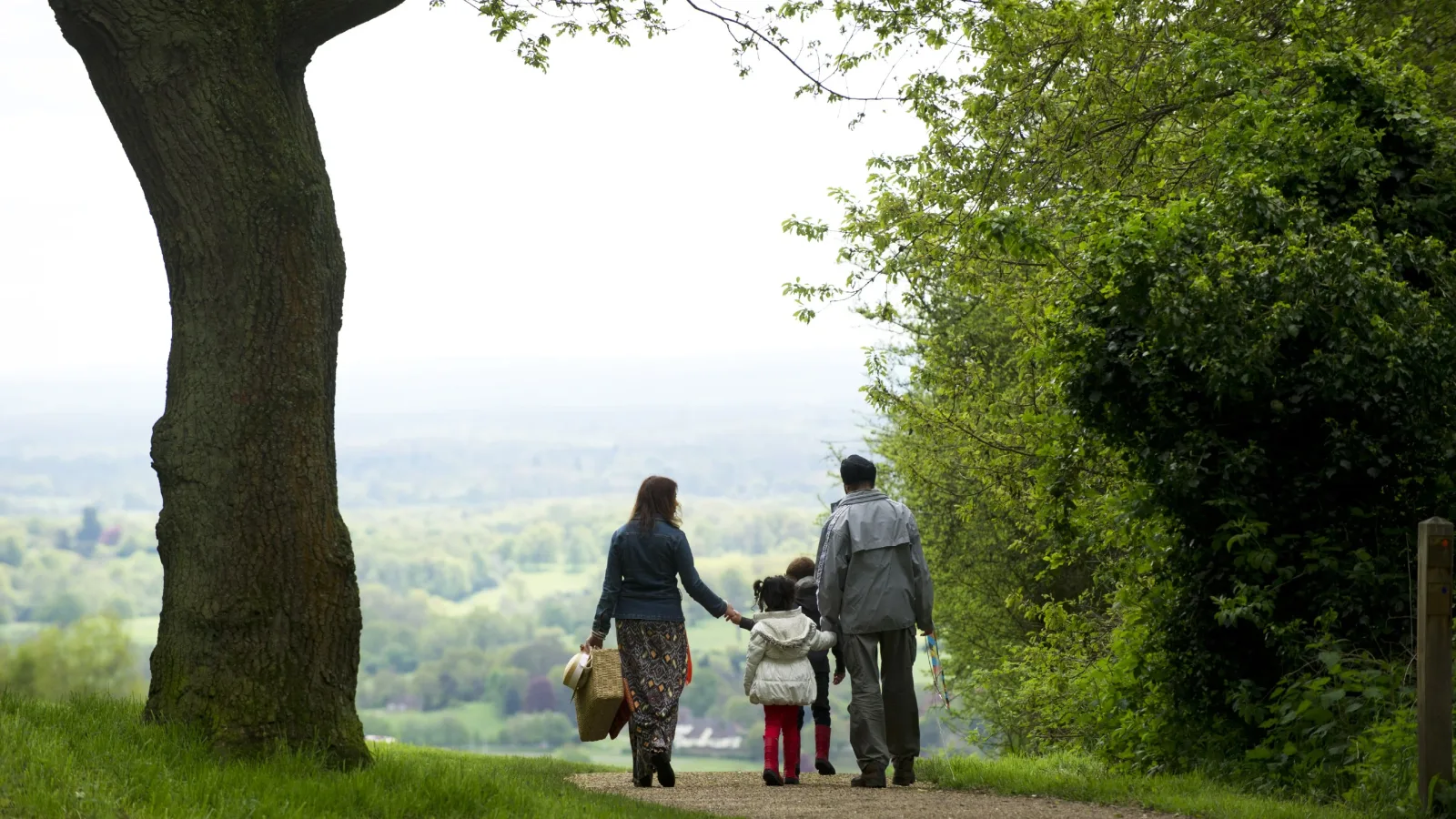 Box Hill in Dorking