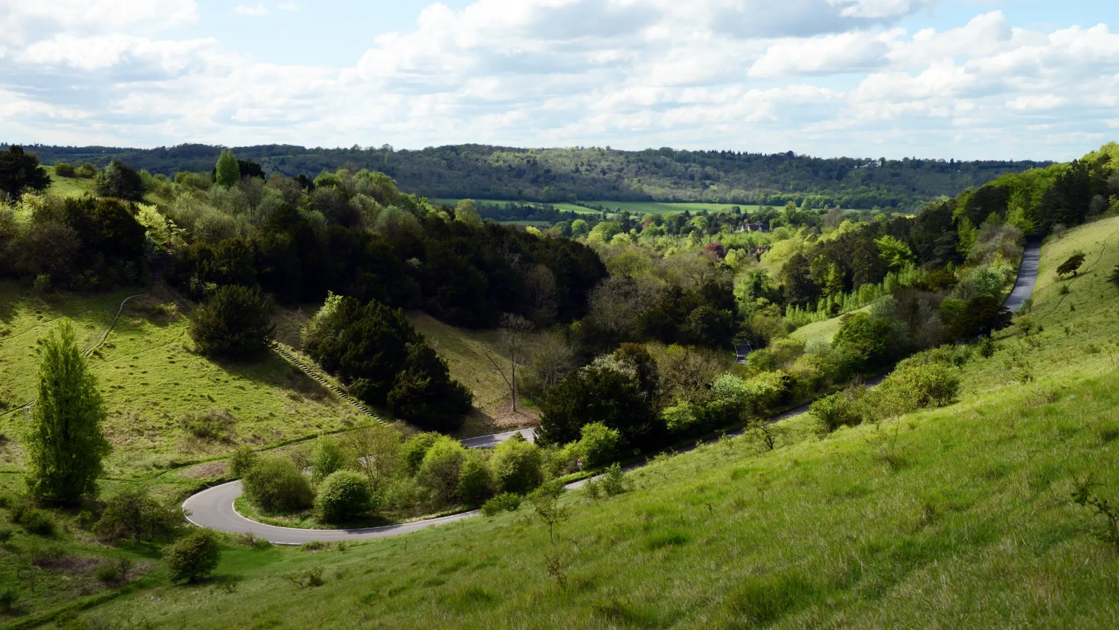 Box Hill in Dorking