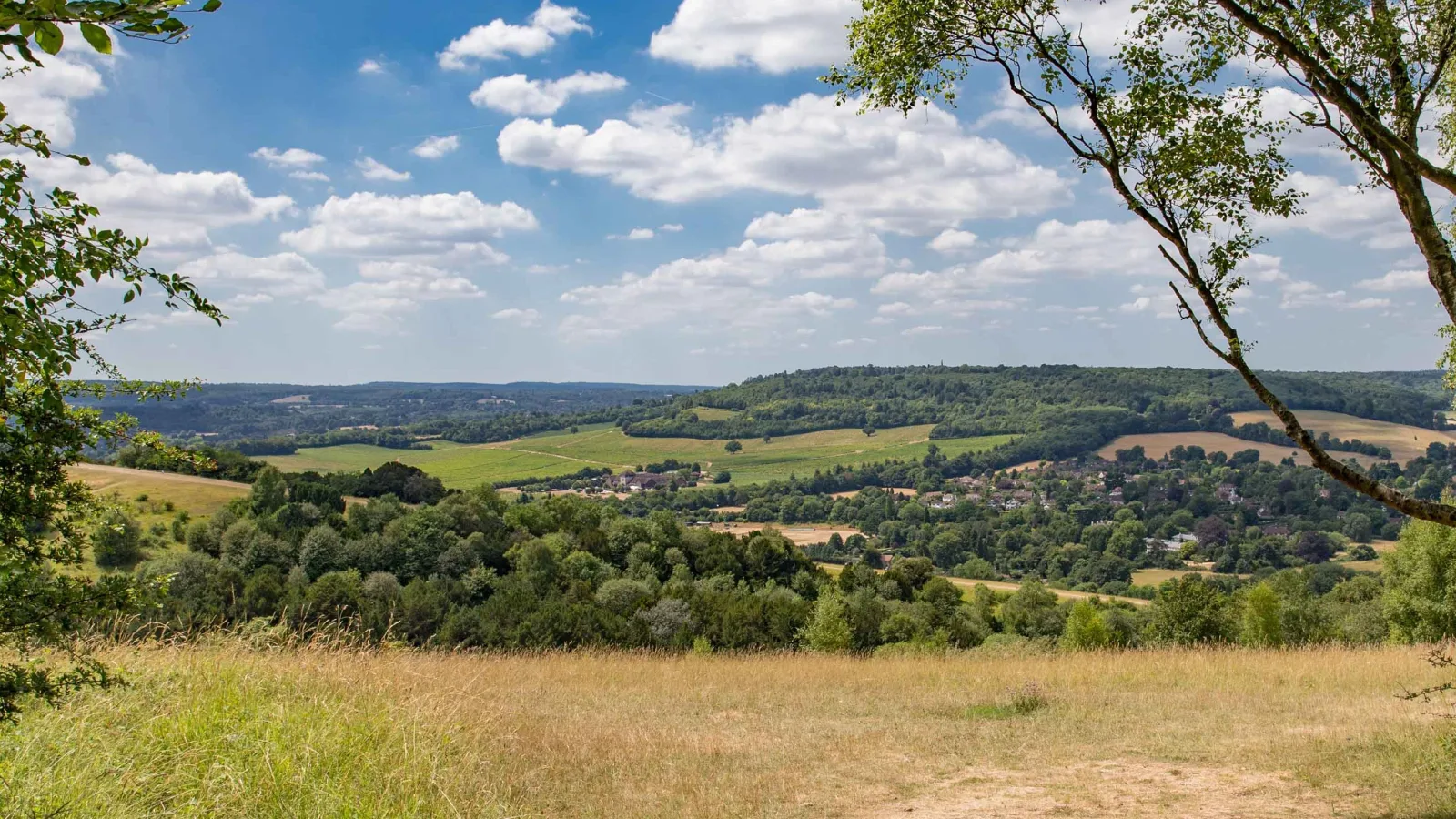 Box Hill in Dorking