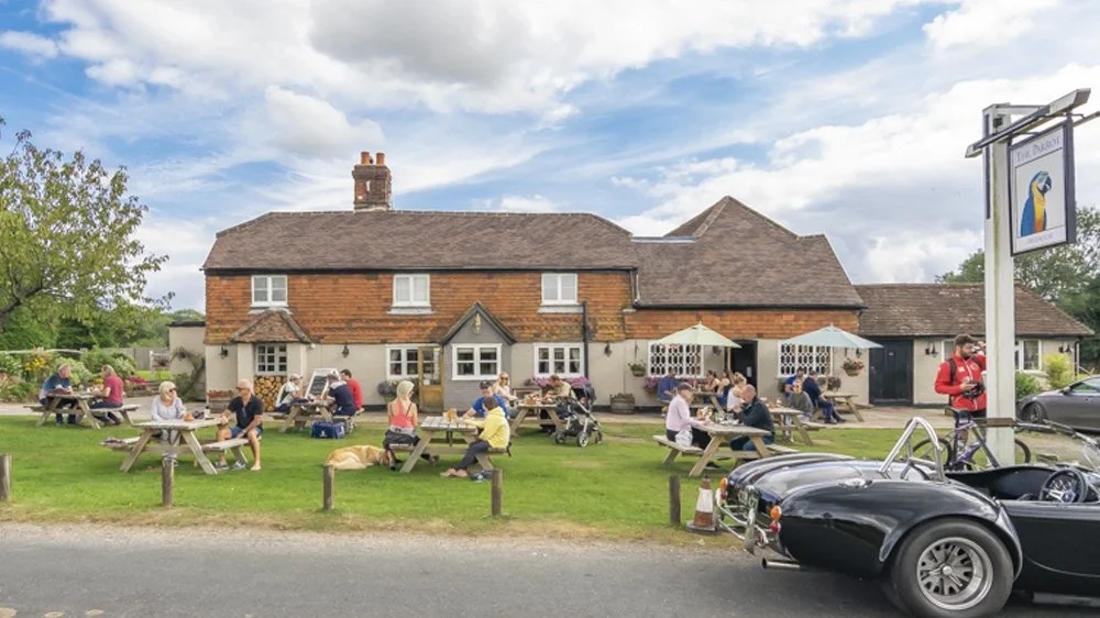The Parrot in Dorking