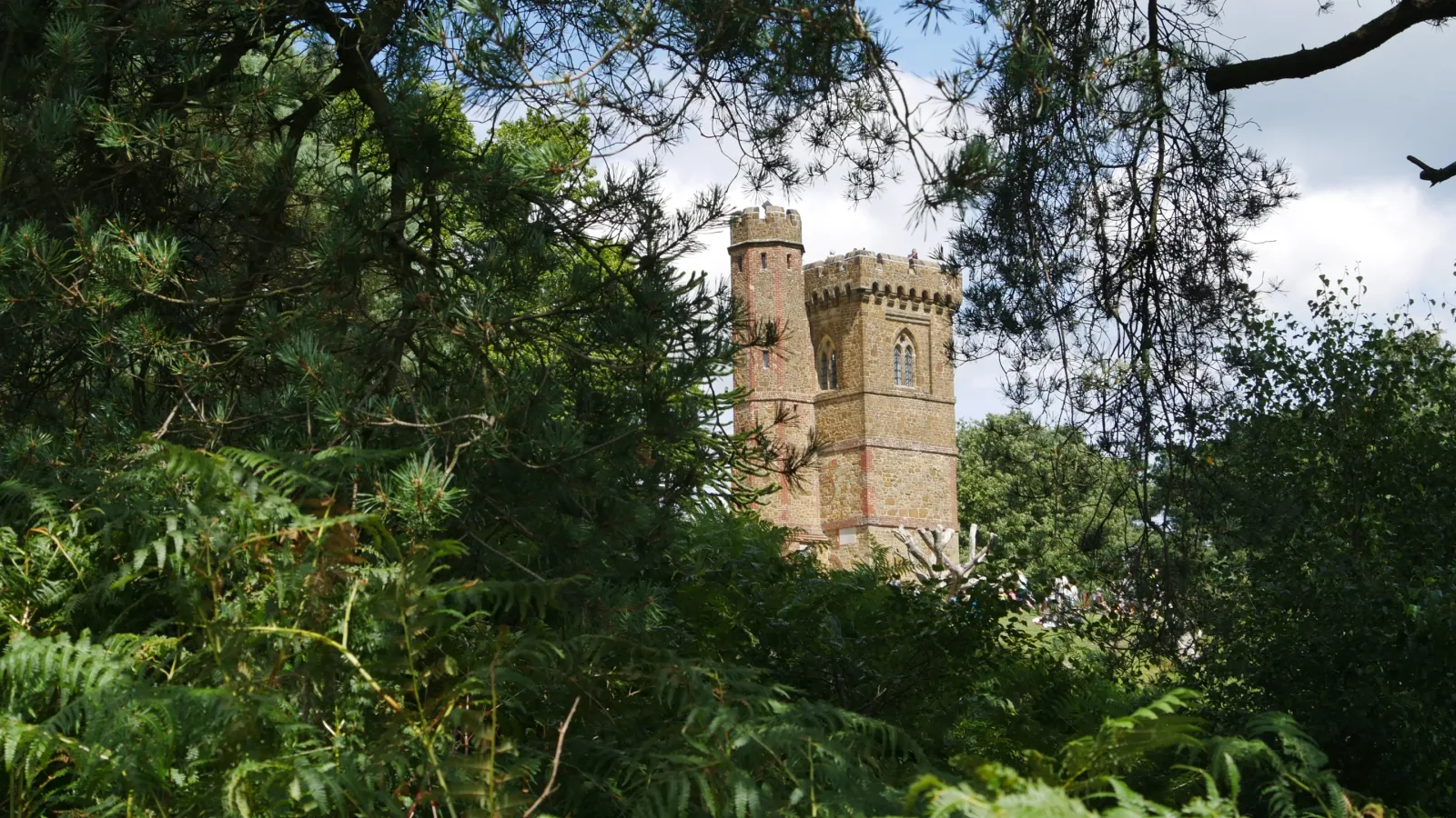 Leith Hill in Dorking