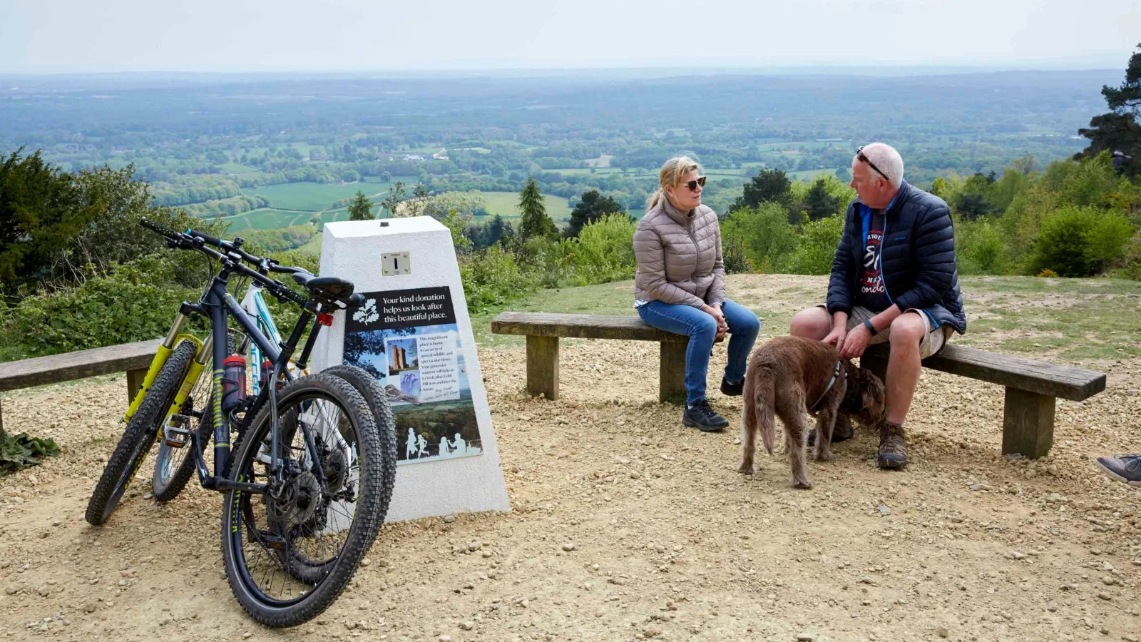 Leith Hill in Dorking
