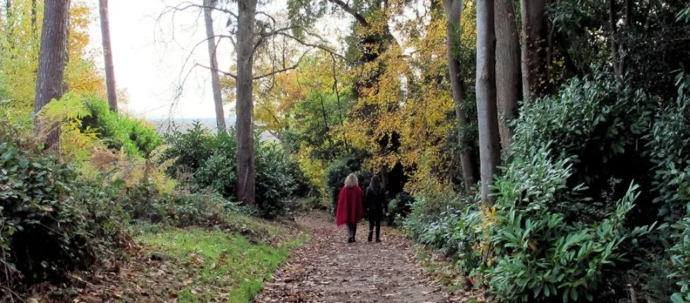 The Deepdene Trail in Dorking