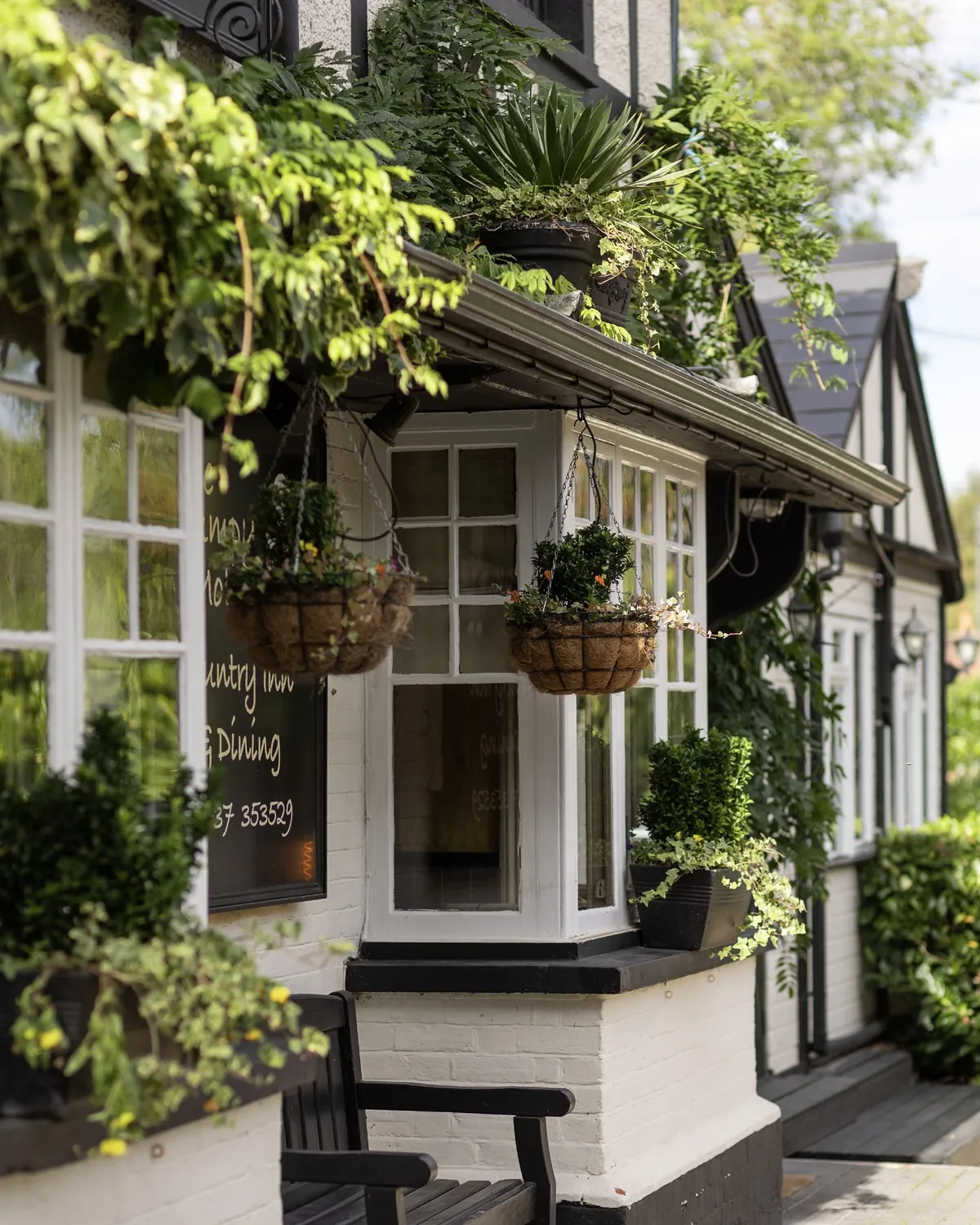 The Grumpy Mole in Epsom