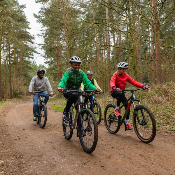 Go Ape Alice Holt in Farnham
