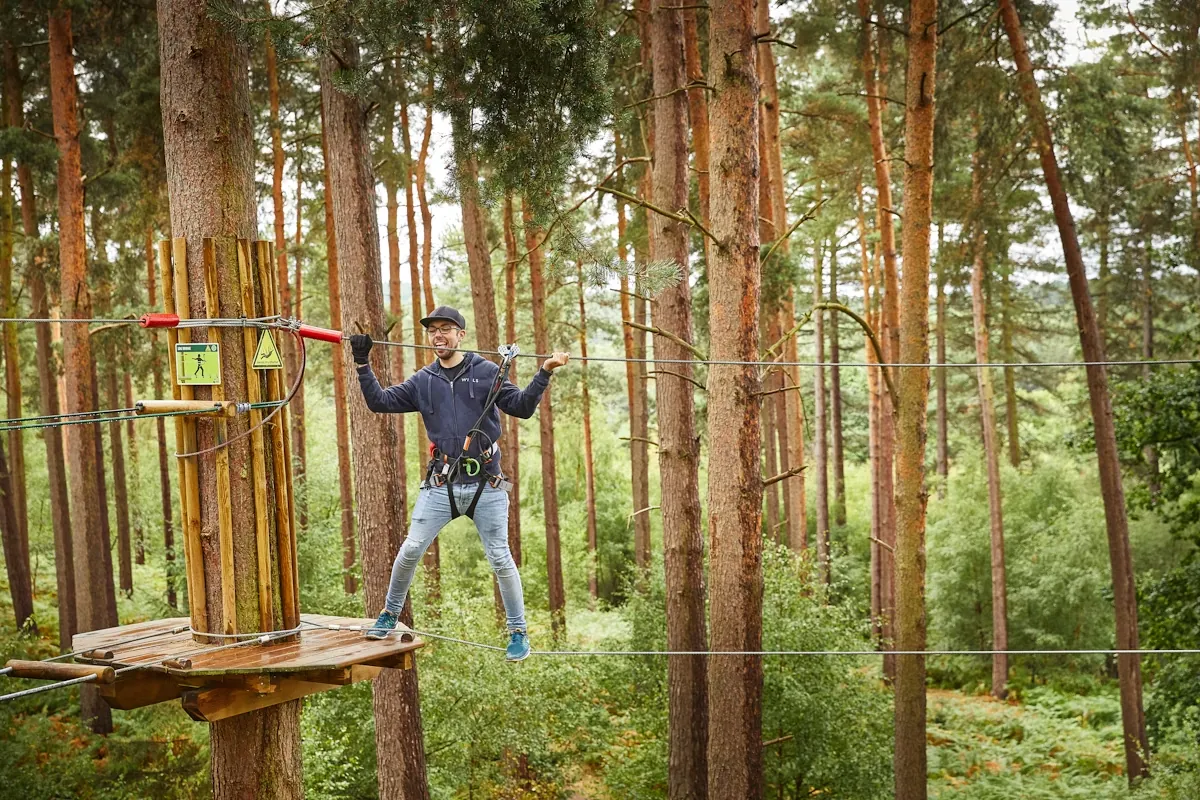 Go Ape Alice Holt in Farnham