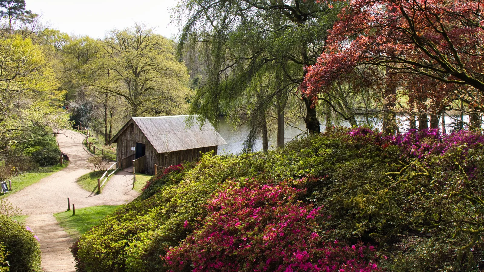 Winkworth Arboretum in Godalming