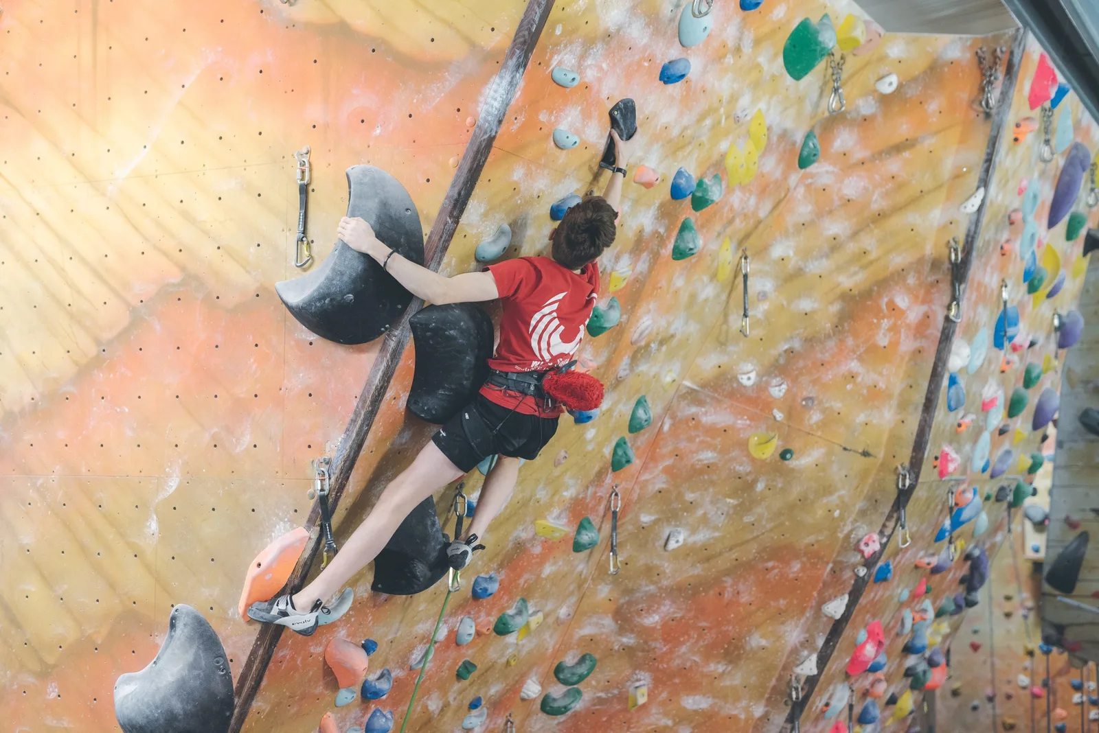Blue Spider Climbing in Guildford