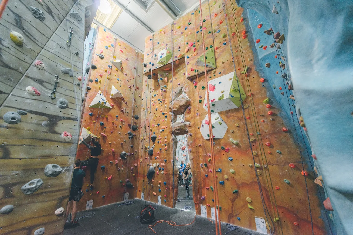 Blue Spider Climbing in Guildford