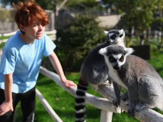 Hobbledown Adventure Park & Zoo in Guildford