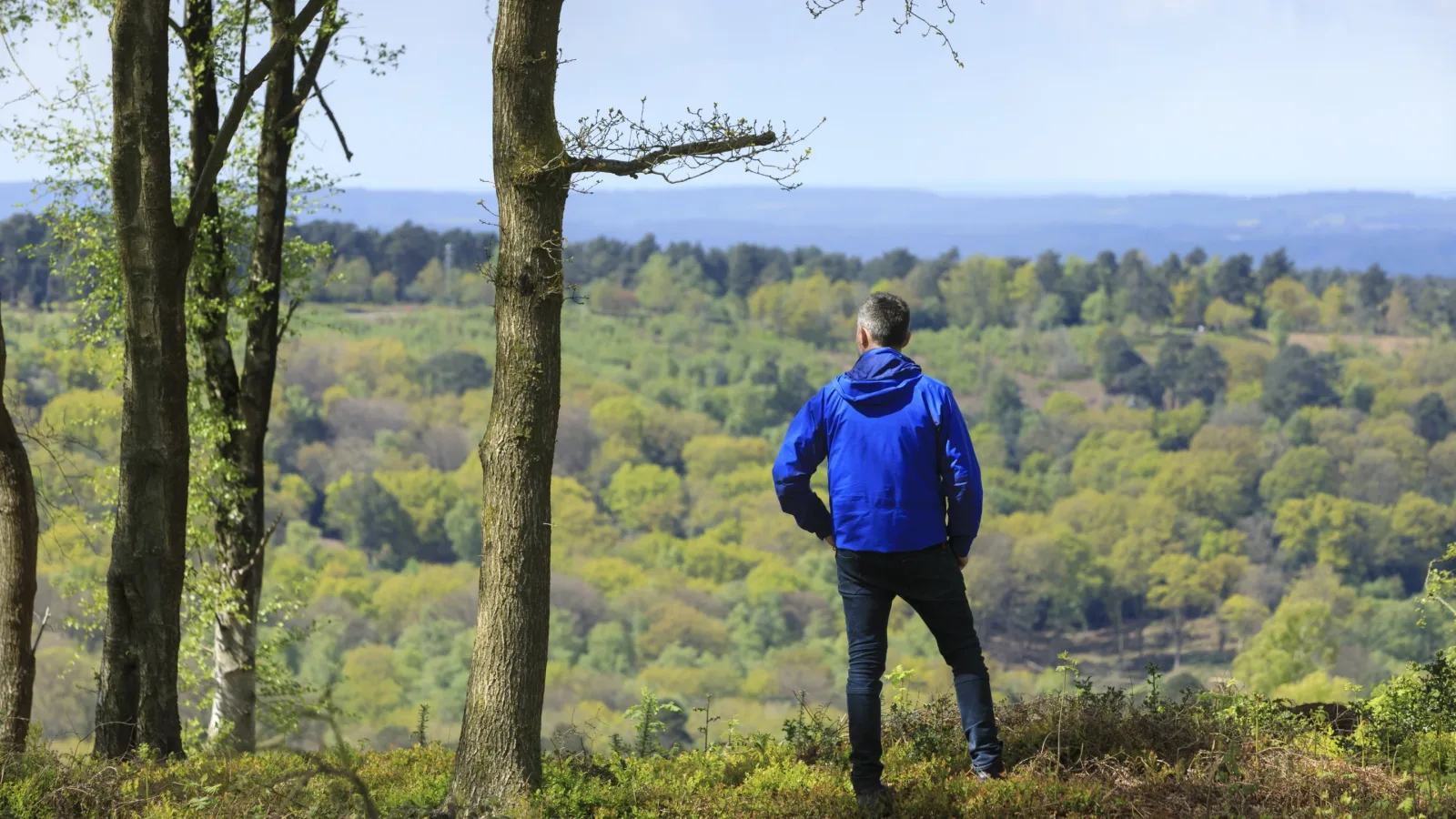 Hindhead Commons and the Devil's Punch Bowl in Haslemere