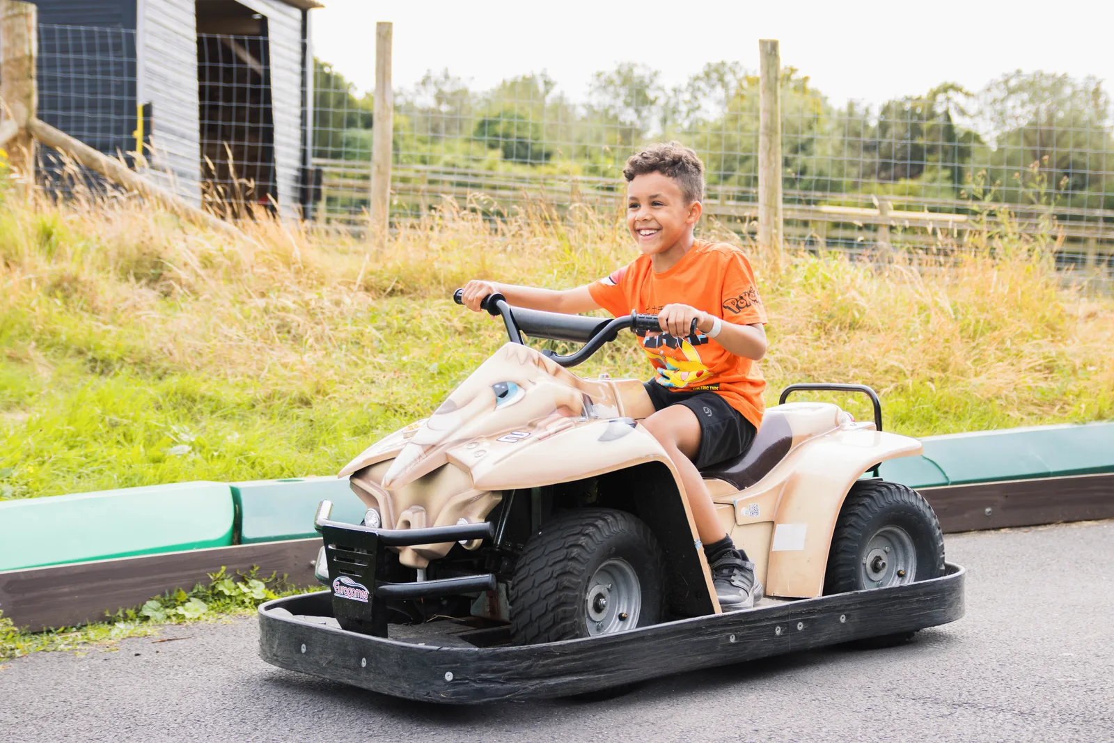 Bocketts Farm Park in Leatherhead
