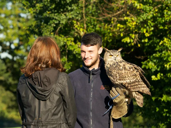 British Wildlife Centre in Lingfield