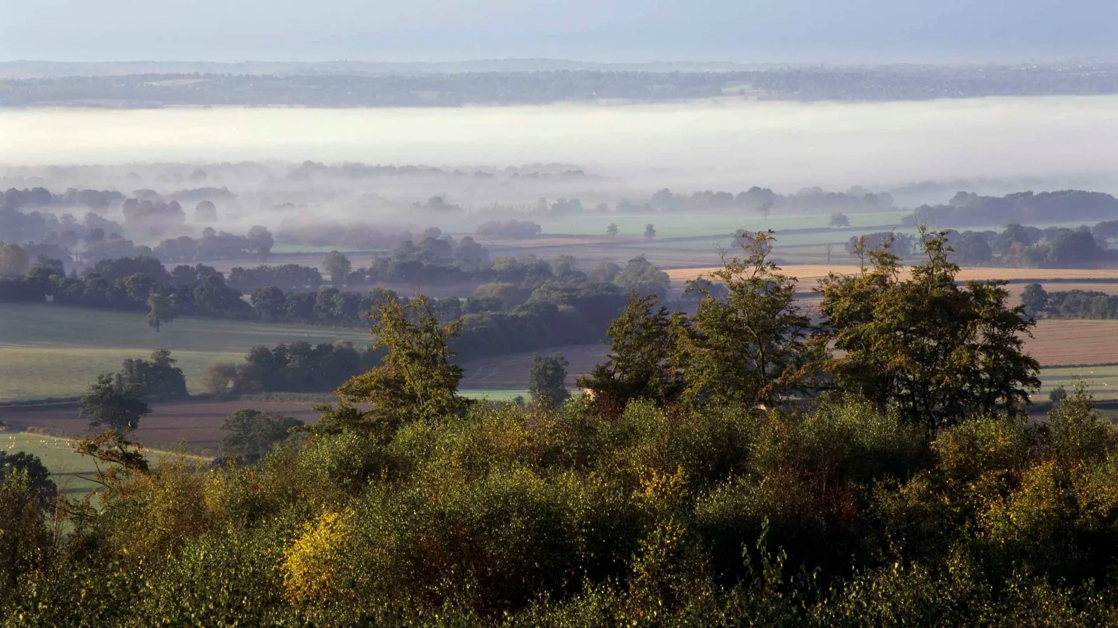 Limpsfield Common in Oxted