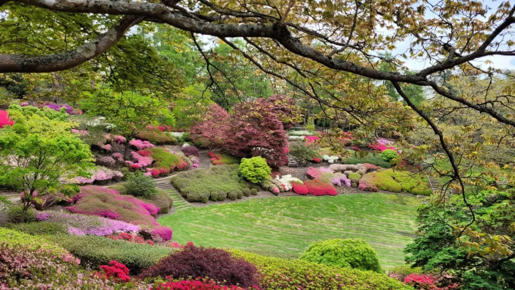 The Valley Gardens in Virginia Water