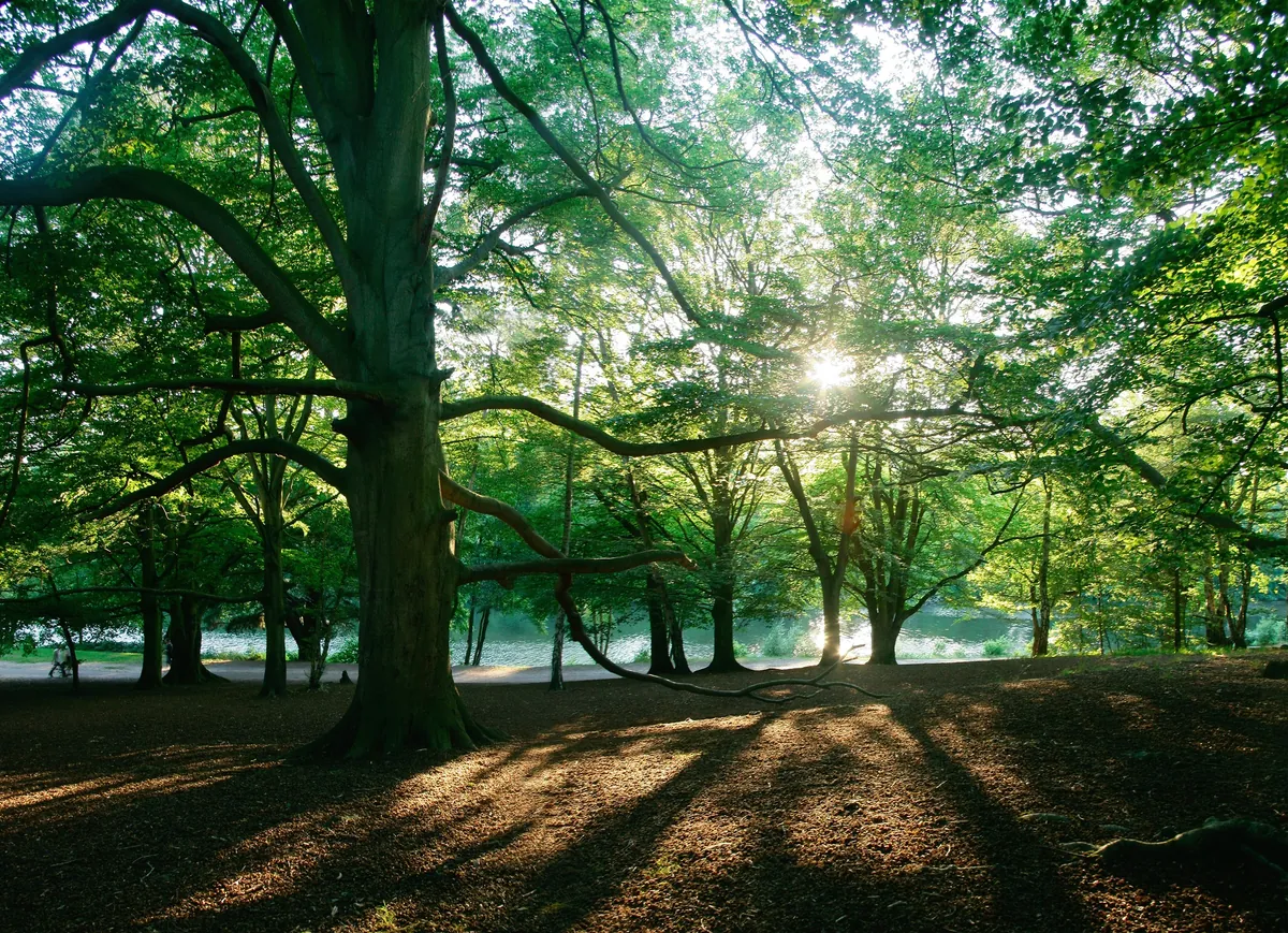 Virginia Water in Virginia Water
