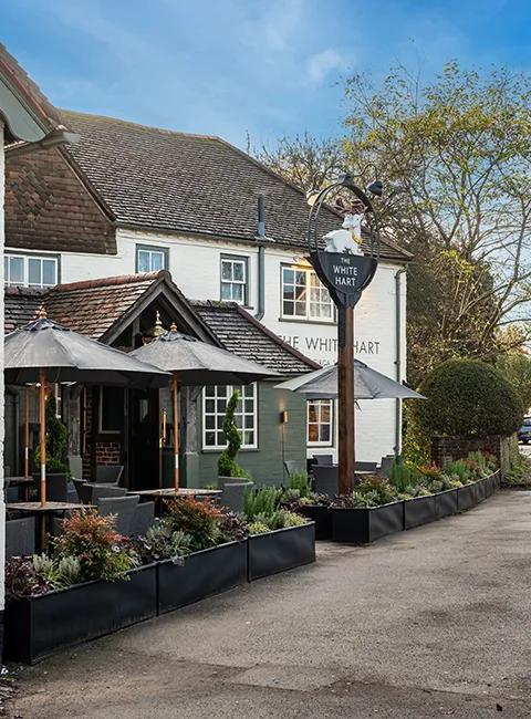 The White Hart in Woking